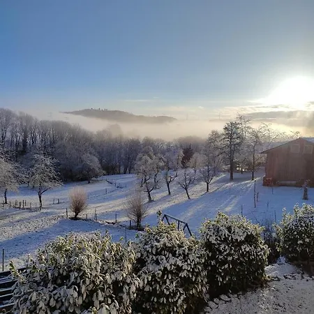 Tolle Ferien Im Schwarzwald Ruhe & Entspannung 아파트