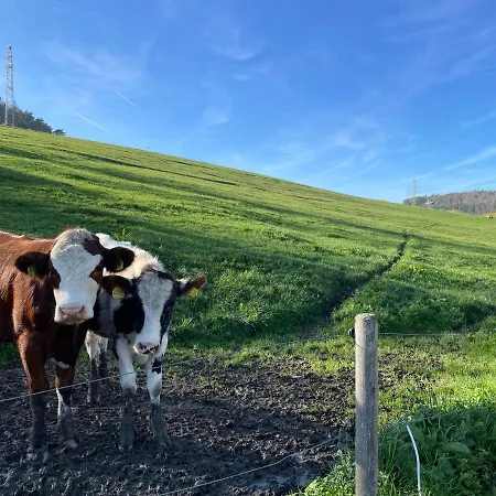 Ferien Im Schwarzwald - Ruhe & Naturverbunden *
