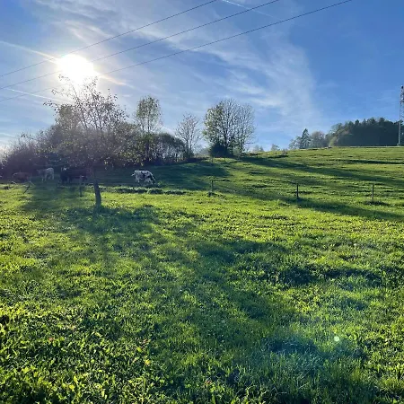 Tolle Ferien Im Schwarzwald Ruhe & Entspannung Apartamento *