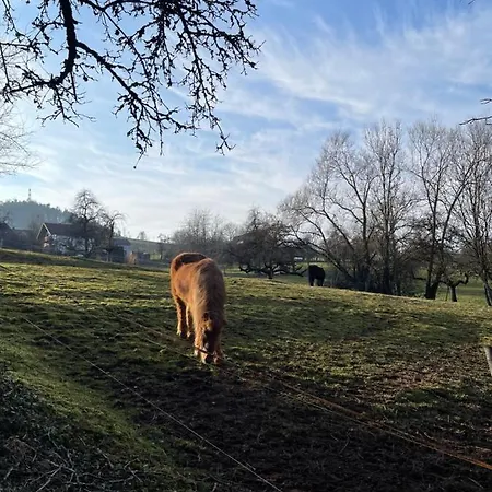 아파트 Tolle Ferien Im Schwarzwald Ruhe & Entspannung